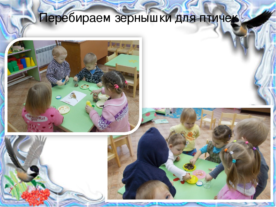 Презентация проекта "Птицы зимой" вторая младшая группа раннего возраста