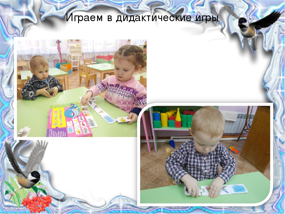 Презентация проекта "Птицы зимой" вторая младшая группа раннего возраста
