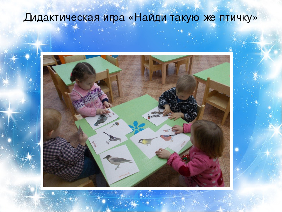 Презентация проекта "Птицы зимой" вторая младшая группа раннего возраста