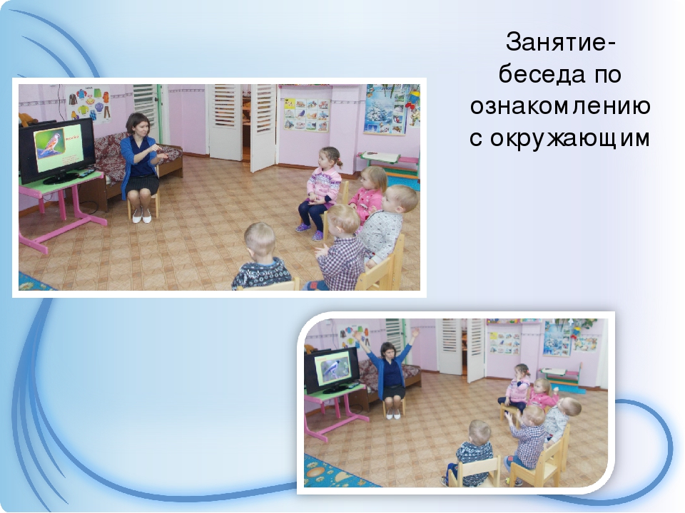 Презентация проекта "Птицы зимой" вторая младшая группа раннего возраста