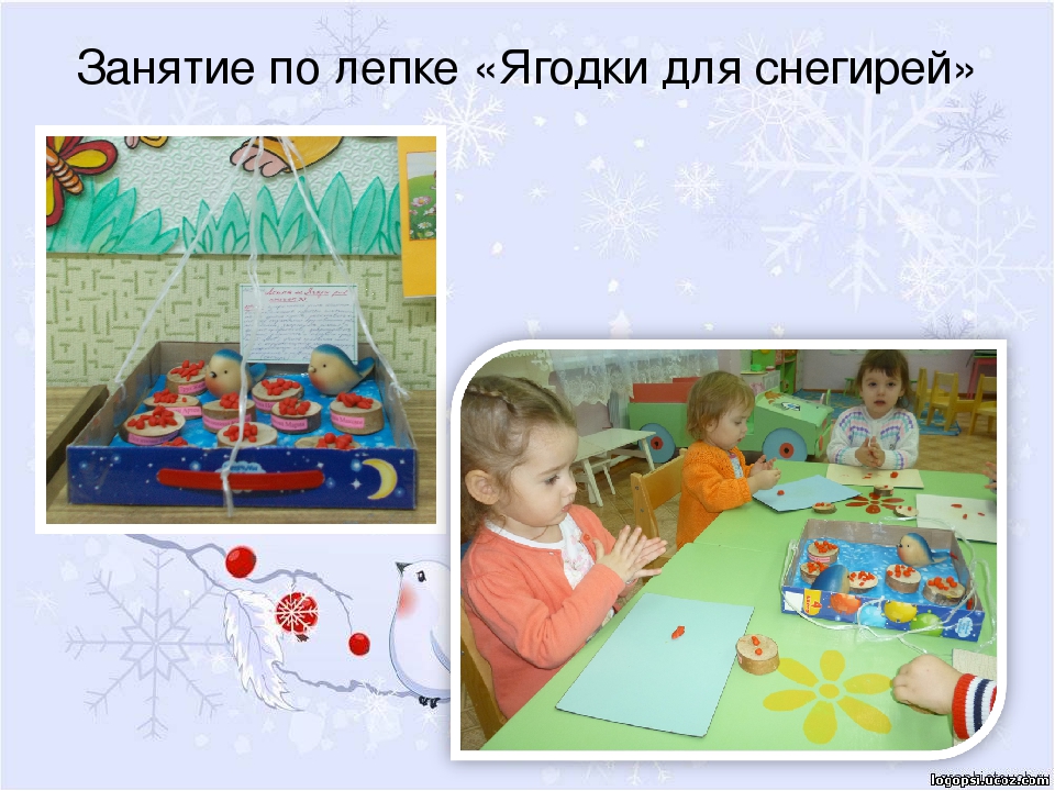 Презентация проекта "Птицы зимой" вторая младшая группа раннего возраста