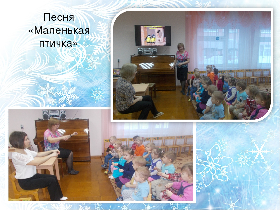 Презентация проекта "Птицы зимой" вторая младшая группа раннего возраста