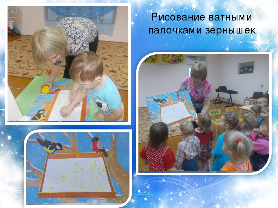 Презентация проекта "Птицы зимой" вторая младшая группа раннего возраста