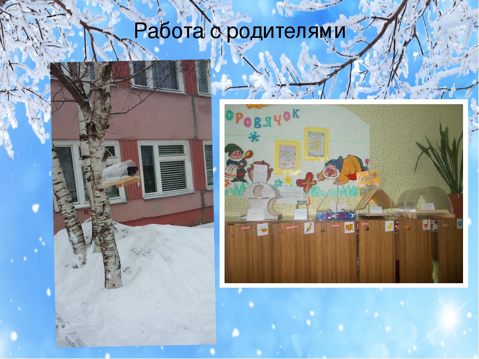 Презентация проекта "Птицы зимой" вторая младшая группа раннего возраста