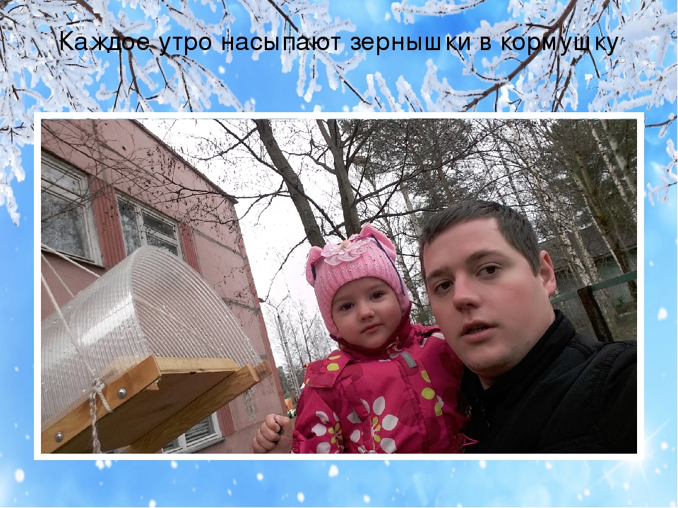 Презентация проекта "Птицы зимой" вторая младшая группа раннего возраста