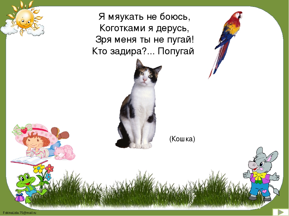 Игра-викторина для детей старшего дошкольного возраста на тему: "Любимый сказочный герой"