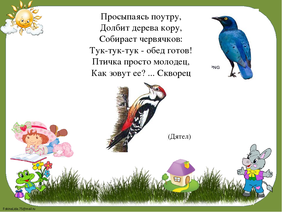 Игра-викторина для детей старшего дошкольного возраста на тему: "Любимый сказочный герой"