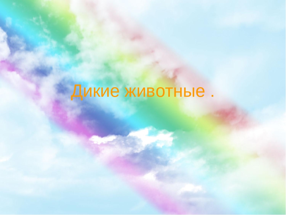 Презентация по ознакомлению с окружающим "Дикие животные"