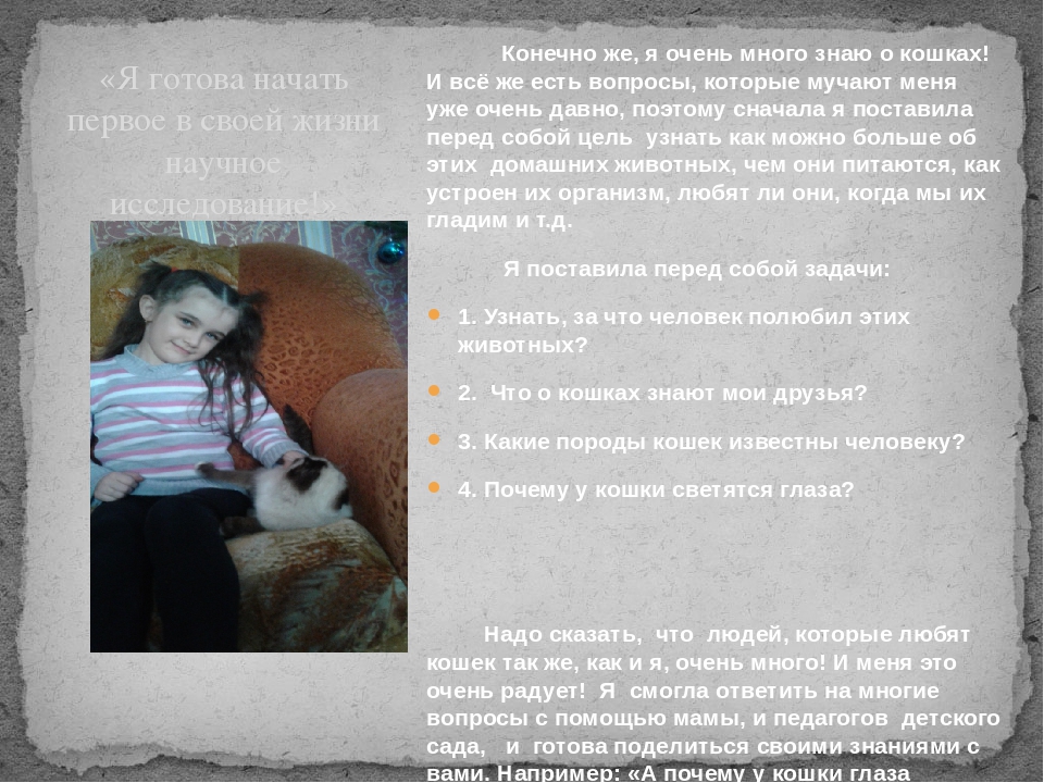 Презентация Почему у кошки глаза светятся?