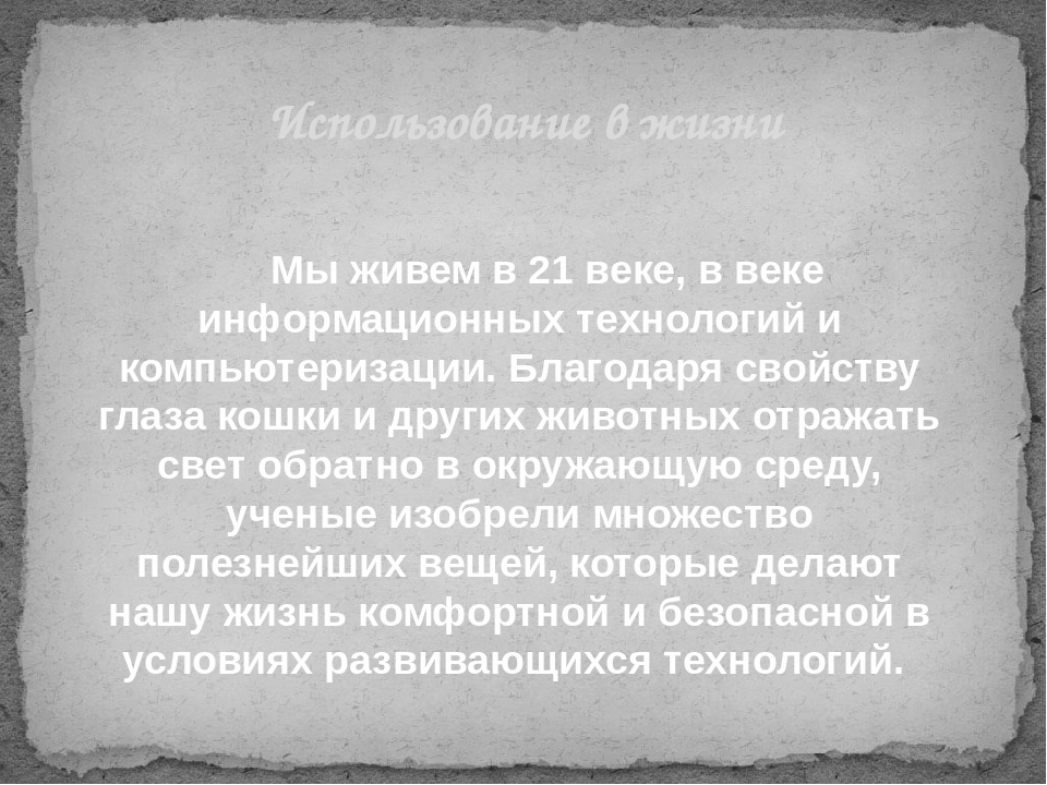 Презентация Почему у кошки глаза светятся?