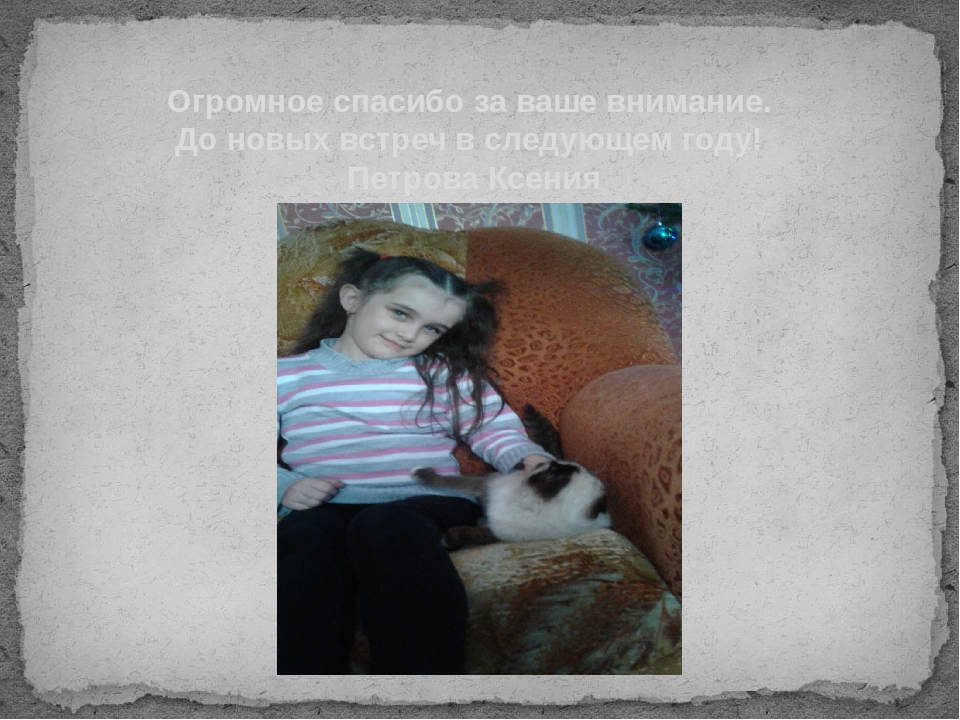Презентация Почему у кошки глаза светятся?