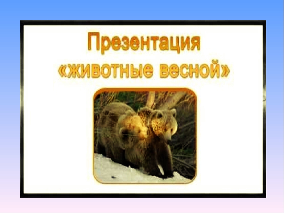 Презентация по экологии на тему" Животные весной".