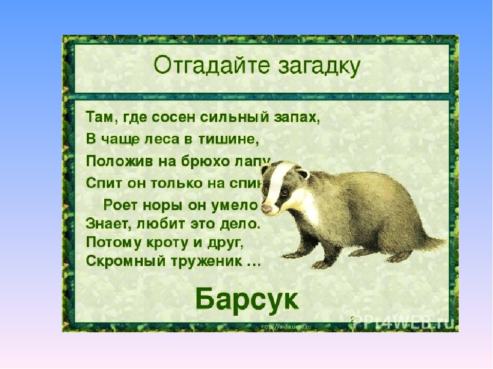 Презентация по экологии на тему" Животные весной".