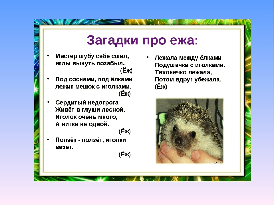 Презентация по экологии на тему" Животные весной".