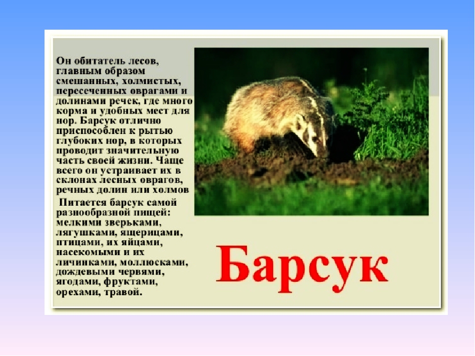 Презентация по экологии на тему" Животные весной".