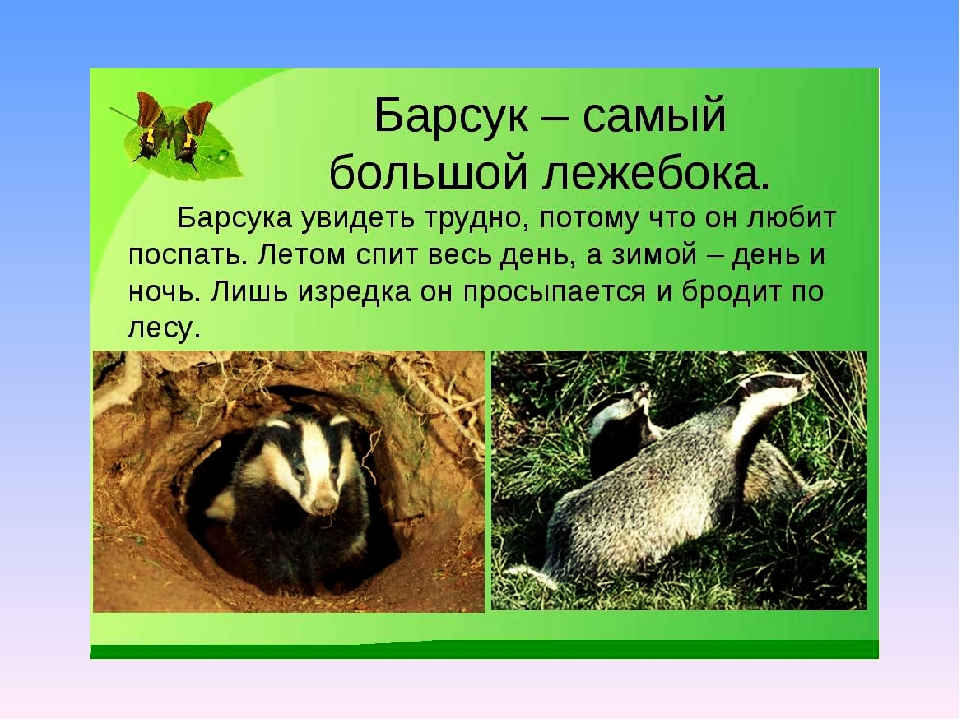 Презентация по экологии на тему" Животные весной".