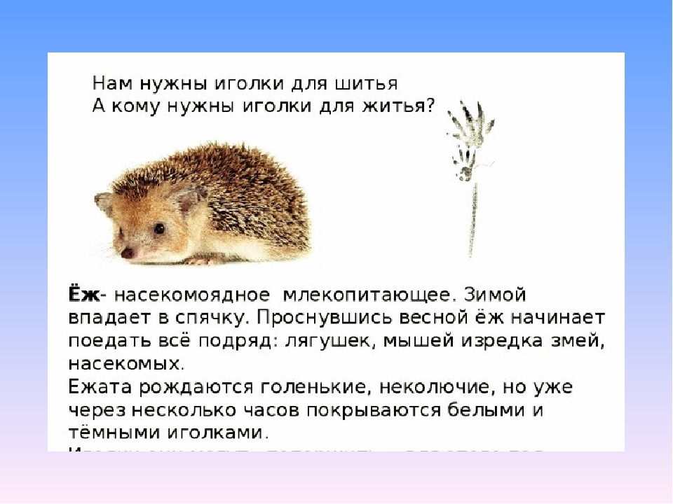 Презентация по экологии на тему" Животные весной".