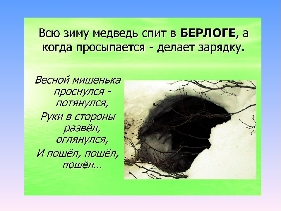 Презентация по экологии на тему" Животные весной".
