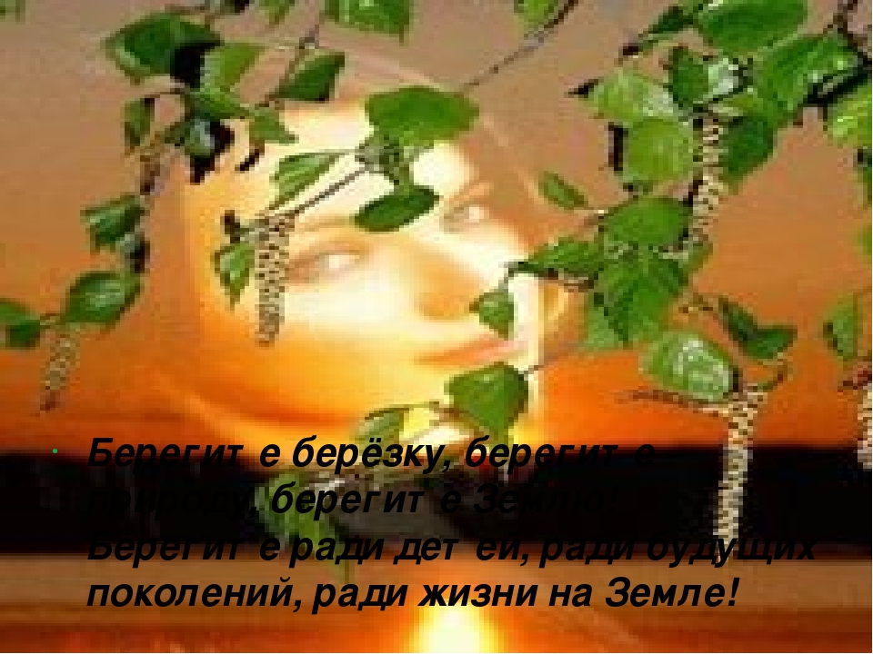 Презентация, посвящённая году экологии "Берёза"