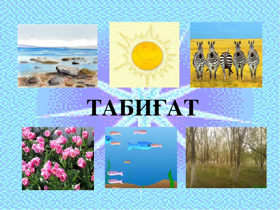 "Қармен тәжірибе жасау" тақырыбындағы презентация