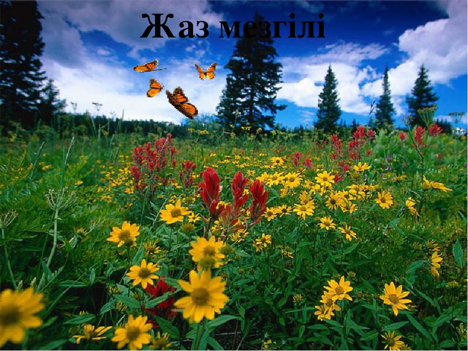 "Қармен тәжірибе жасау" тақырыбындағы презентация