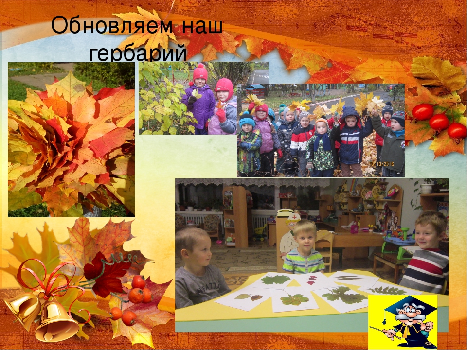 Презентация проекта "Разноцветная осень" в средней группе детскогосада