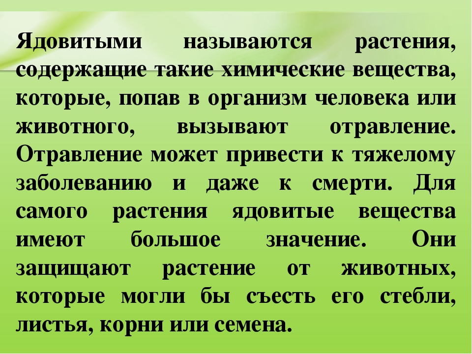 Презентация для дошкольников "Ядовитые растения"