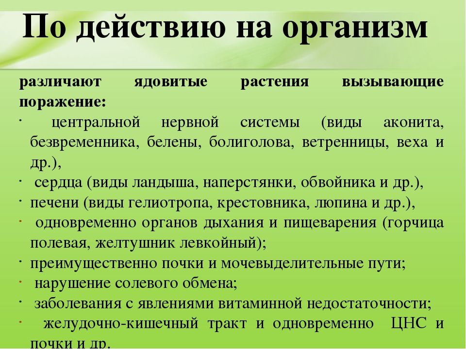 Презентация для дошкольников "Ядовитые растения"