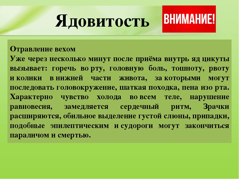 Презентация для дошкольников "Ядовитые растения"
