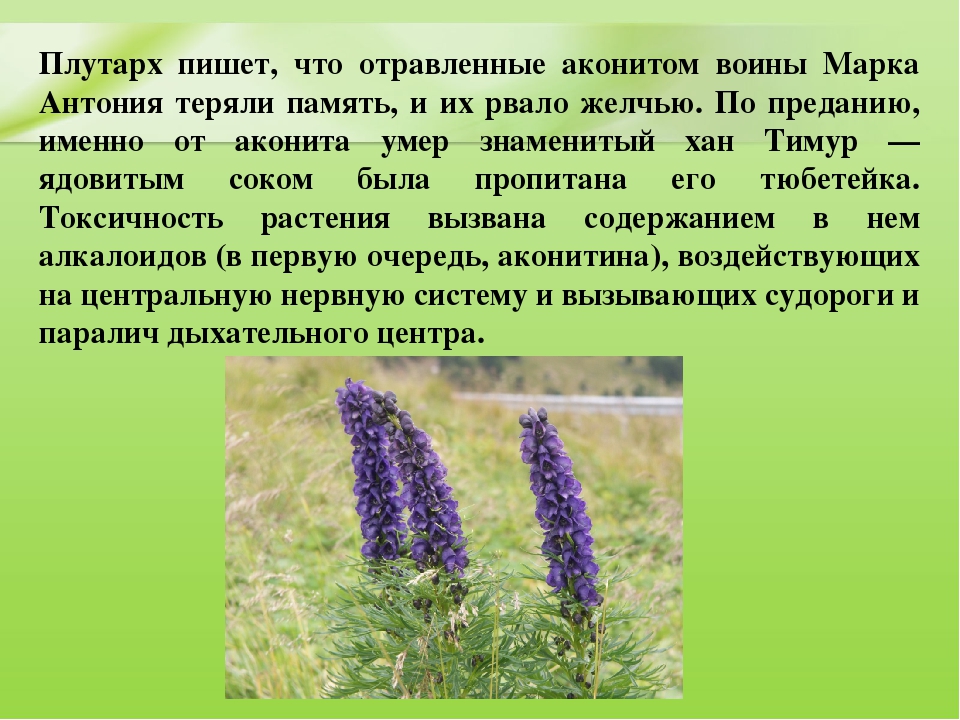 Презентация для дошкольников "Ядовитые растения"