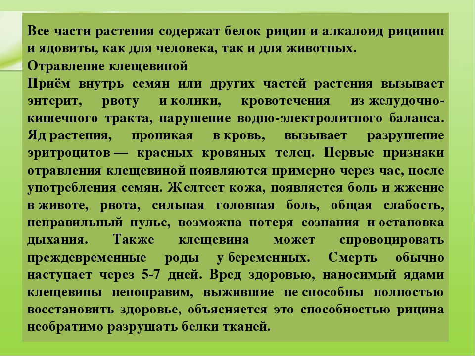 Презентация для дошкольников "Ядовитые растения"