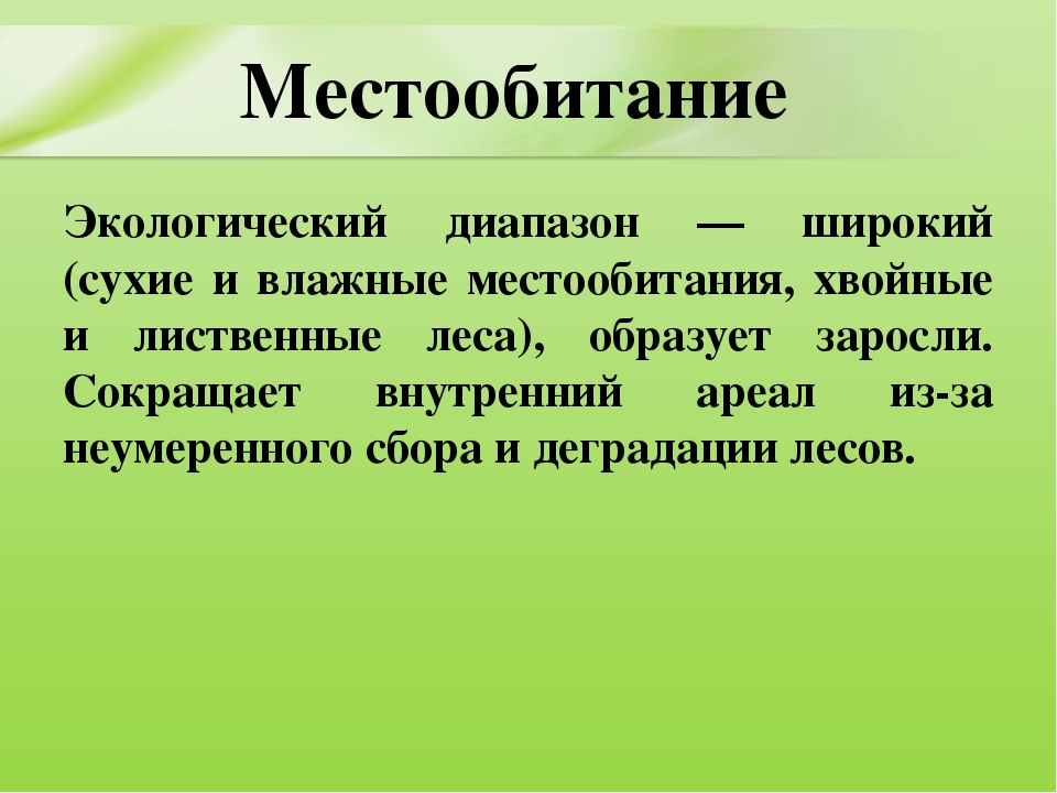 Презентация для дошкольников "Ядовитые растения"