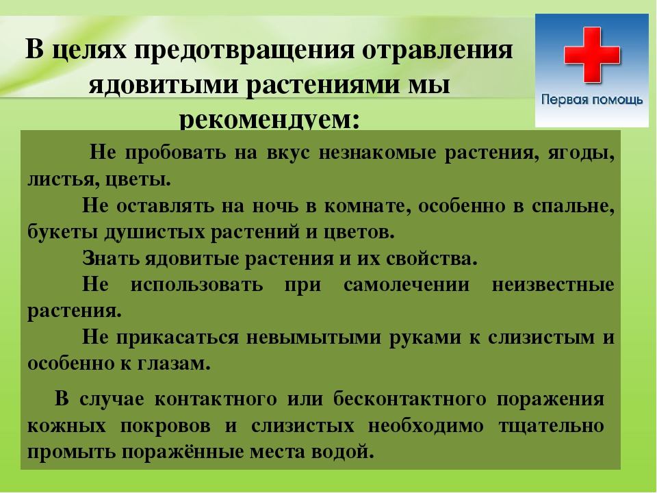 Презентация для дошкольников "Ядовитые растения"