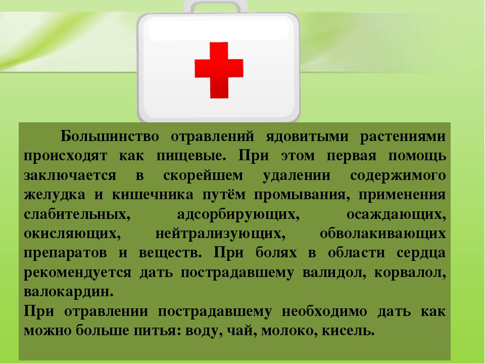 Презентация для дошкольников "Ядовитые растения"