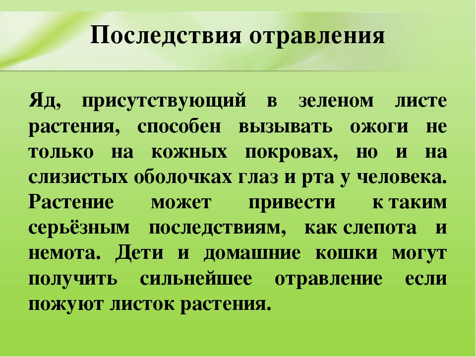 Презентация для дошкольников "Ядовитые растения"