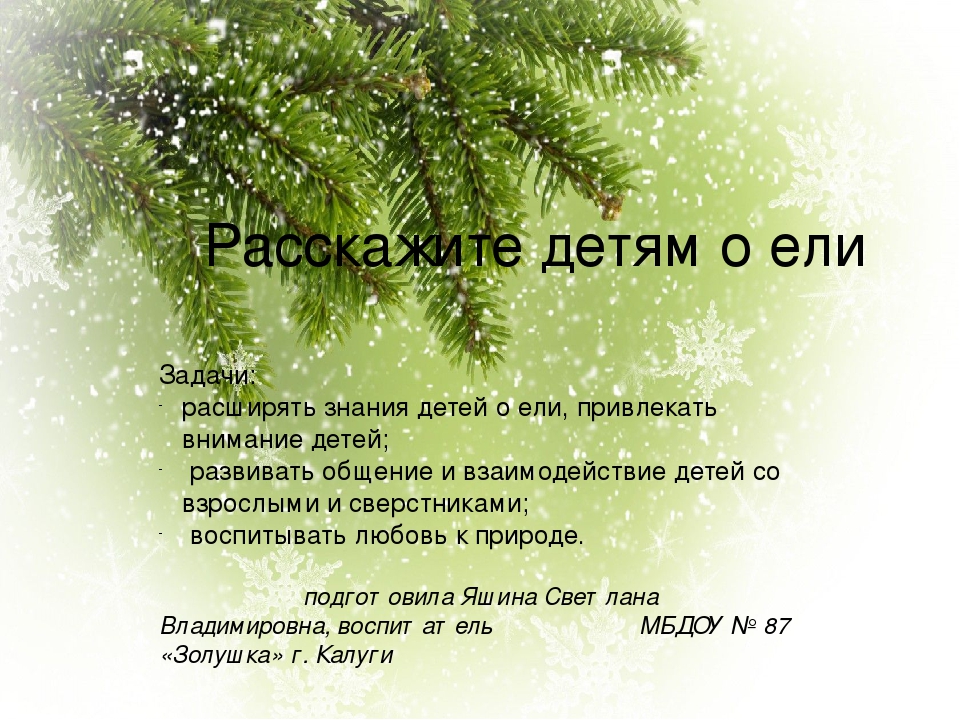 Работы о ели. Ель интересные факты. Стихи о ели. Ель для детей. Интересное о ели для детей.