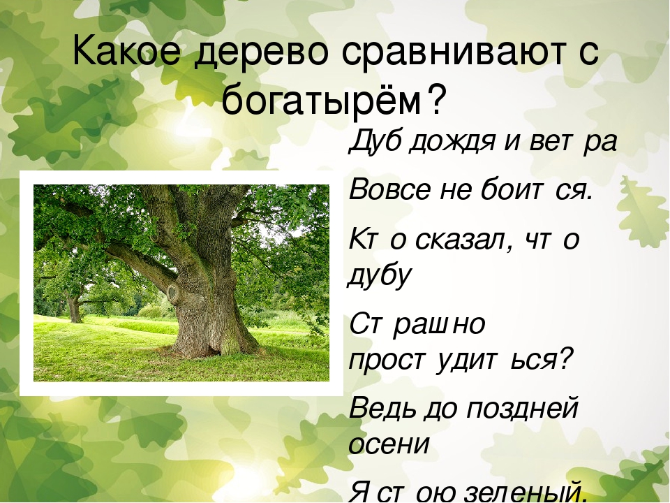 Презентация для дошкольников "Расскажите детям о дубе"