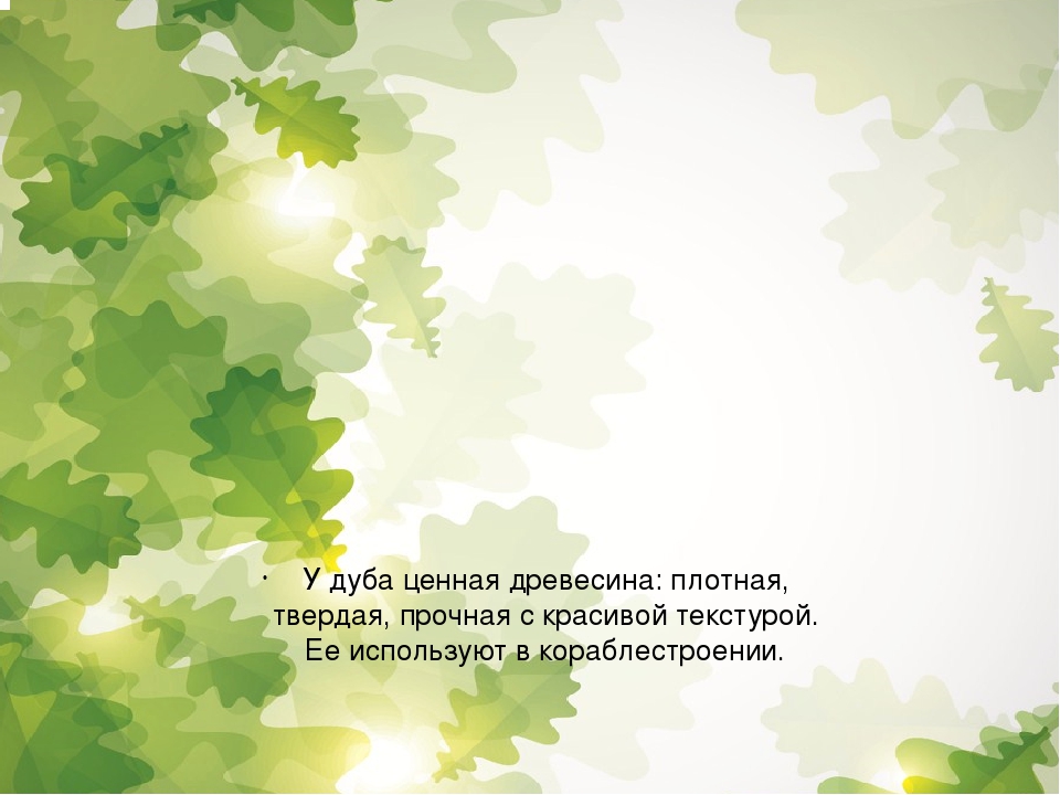 Презентация для дошкольников "Расскажите детям о дубе"