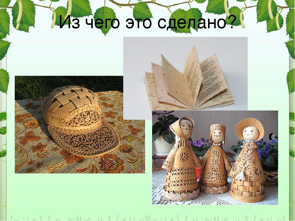 Презентация для дошкольников "Рсскажите детям о березе"