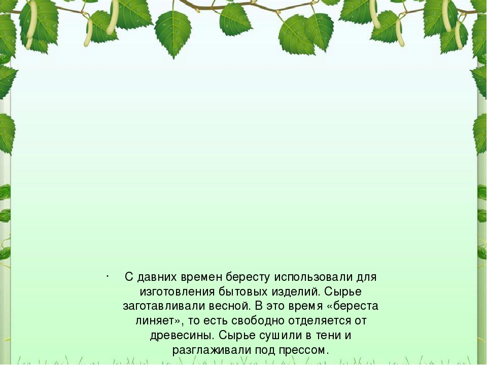 Презентация для дошкольников "Рсскажите детям о березе"