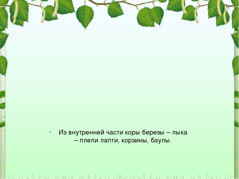 Презентация для дошкольников "Рсскажите детям о березе"