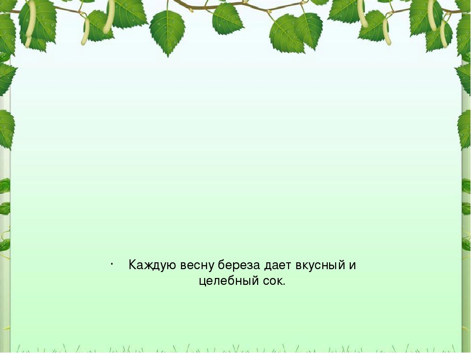 Презентация бела. Фон для презентации береза. Презентации фон для презентации береза. Шаблон для презентации береза. Шаблон для презентации Березка.