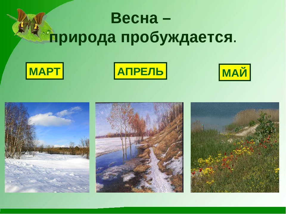 Презентация "К нам весна шагает"