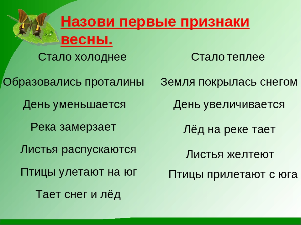 Презентация "К нам весна шагает"