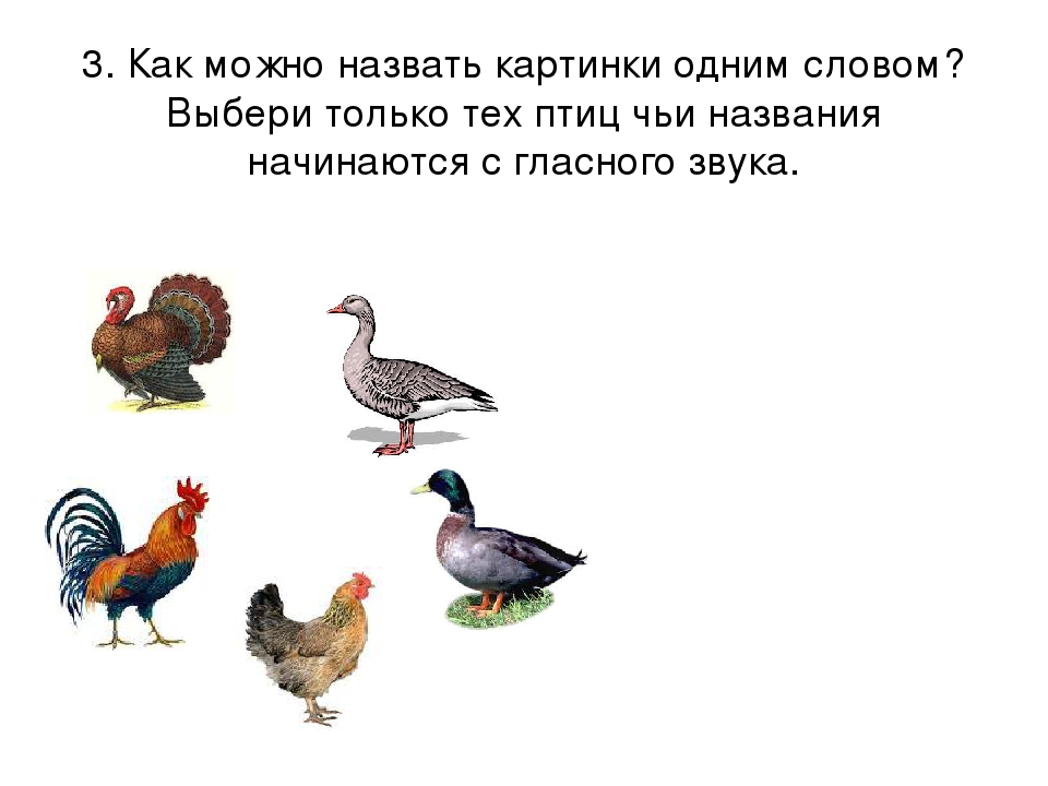 Презентация к занятию "ГЛАСНЫЕ ЗВУКИ" по обучению грамоте на курсах для будущих первоклассников.
