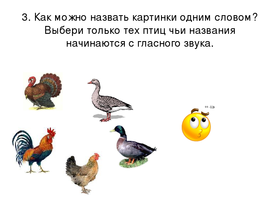 Презентация к занятию "ГЛАСНЫЕ ЗВУКИ" по обучению грамоте на курсах для будущих первоклассников.