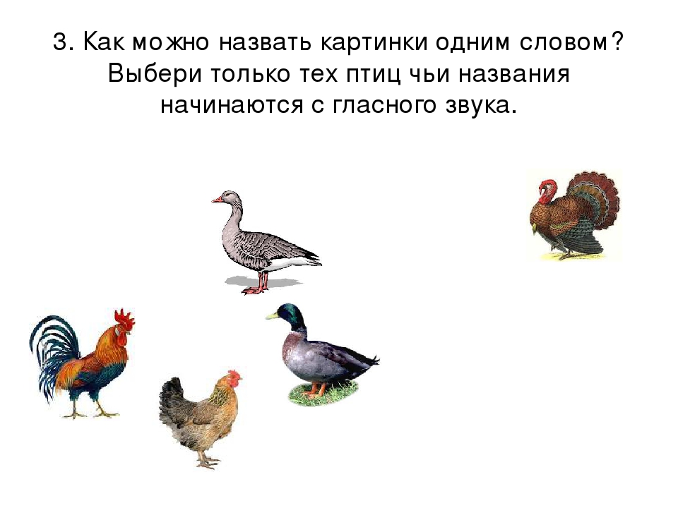 Презентация к занятию "ГЛАСНЫЕ ЗВУКИ" по обучению грамоте на курсах для будущих первоклассников.