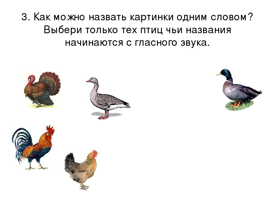Презентация к занятию "ГЛАСНЫЕ ЗВУКИ" по обучению грамоте на курсах для будущих первоклассников.