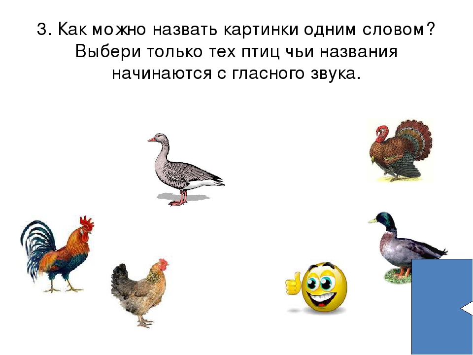 Презентация к занятию "ГЛАСНЫЕ ЗВУКИ" по обучению грамоте на курсах для будущих первоклассников.