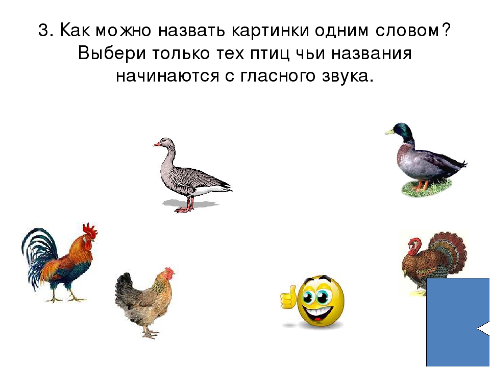 Презентация к занятию "ГЛАСНЫЕ ЗВУКИ" по обучению грамоте на курсах для будущих первоклассников.